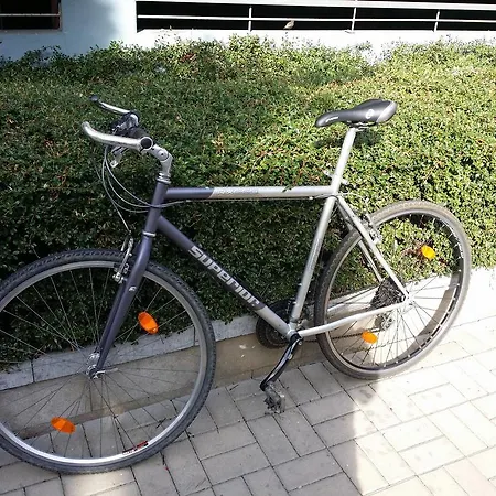 Daire Chotesovska With Parking Place